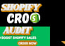 shopify cro audit optimization to increase shopify sales